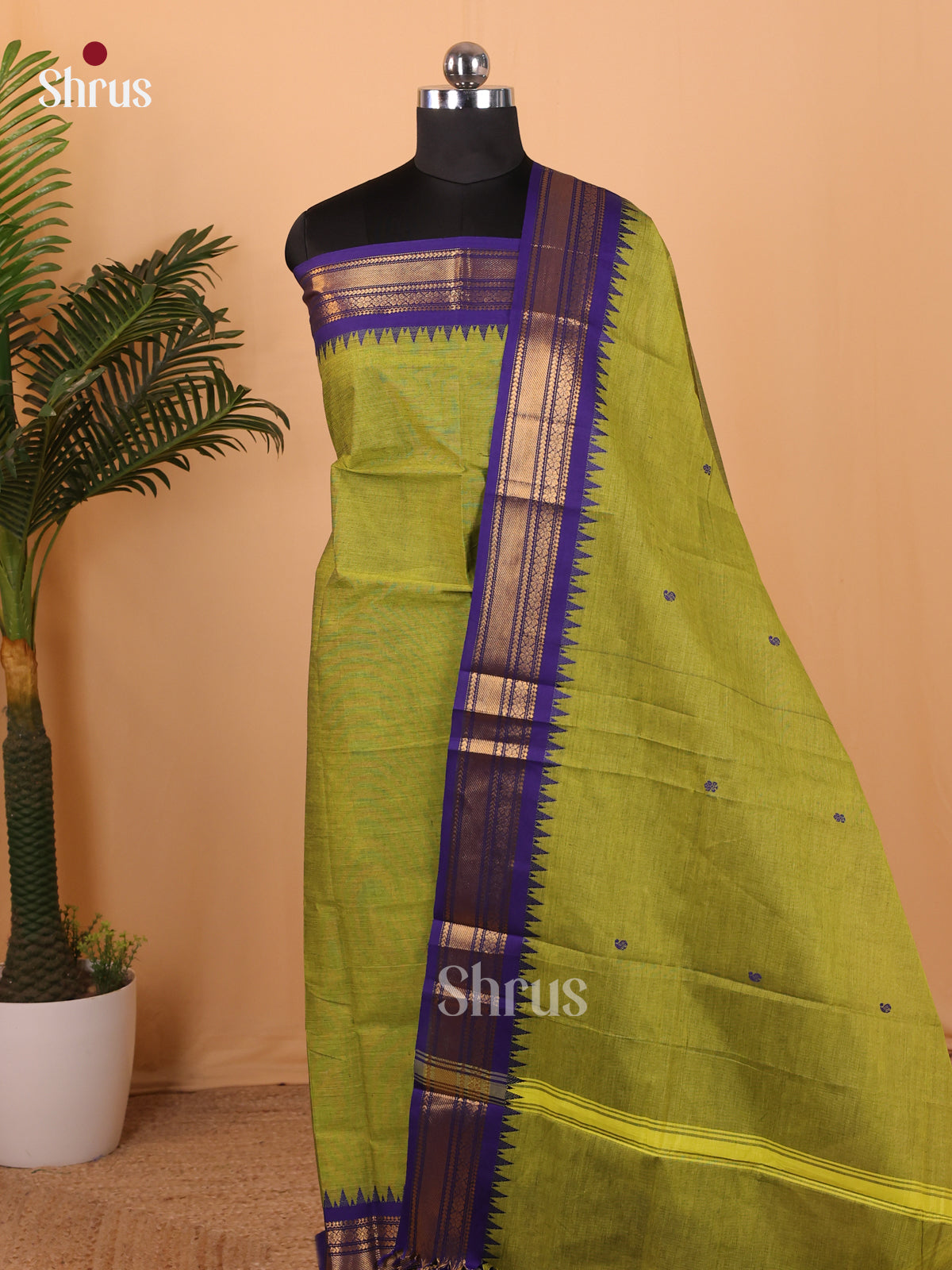 Green & Blue - Chettinad Top & Dupatta Combo