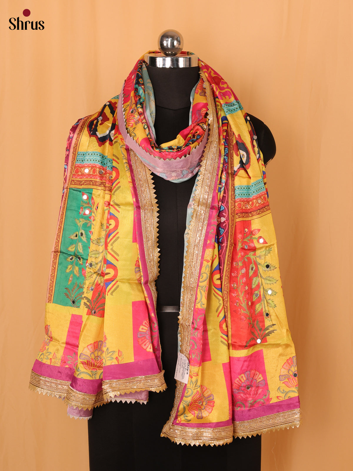 Multi Colour Geometric Semi Dola Dupatta